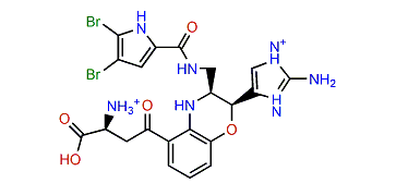 Agelamadin E